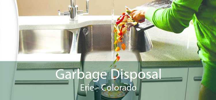Garbage Disposal Erie - Colorado