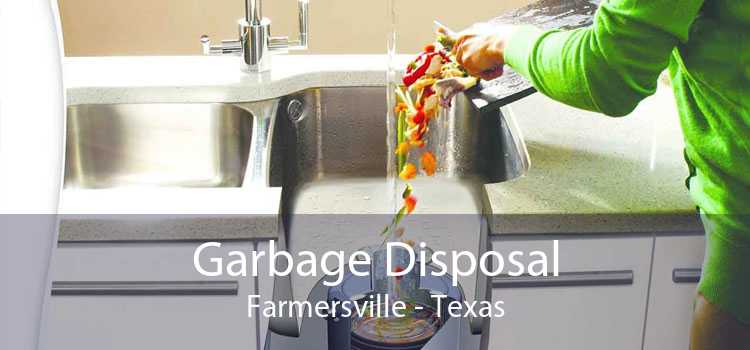 Garbage Disposal Farmersville - Texas
