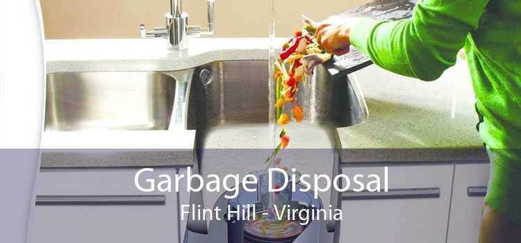 Garbage Disposal Flint Hill - Virginia
