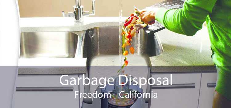 Garbage Disposal Freedom - California