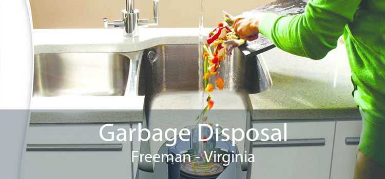 Garbage Disposal Freeman - Virginia