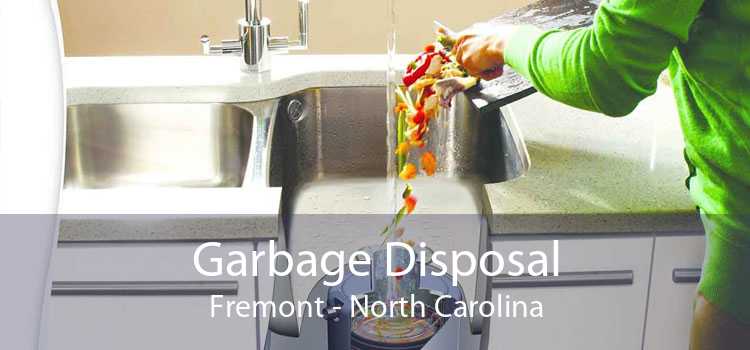 Garbage Disposal Fremont - North Carolina