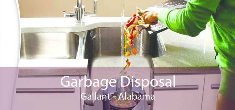 Garbage Disposal Gallant - Alabama