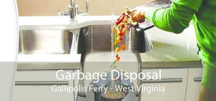 Garbage Disposal Gallipolis Ferry - West Virginia