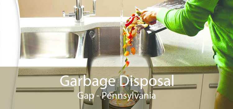 Garbage Disposal Gap - Pennsylvania