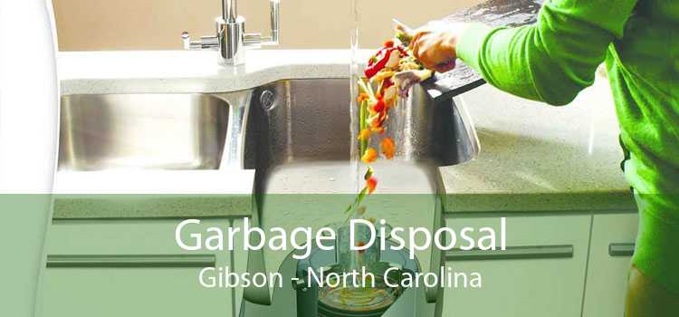 Garbage Disposal Gibson - North Carolina