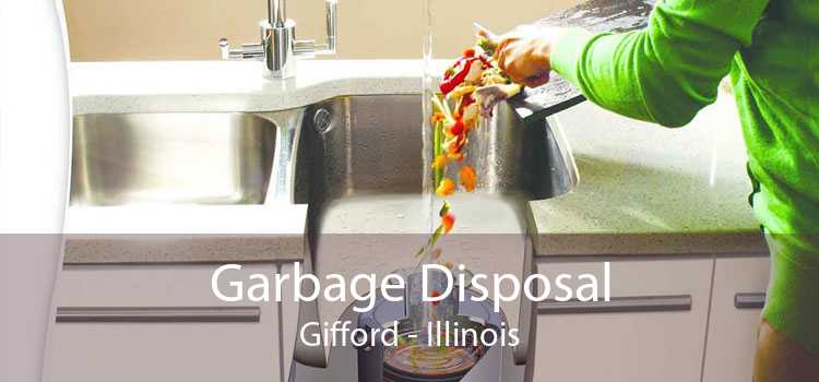 Garbage Disposal Gifford - Illinois