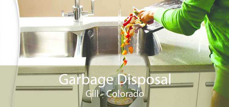 Garbage Disposal Gill - Colorado