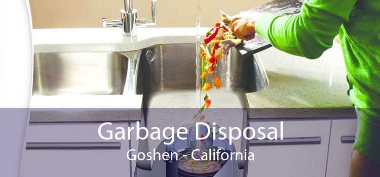Garbage Disposal Goshen - California