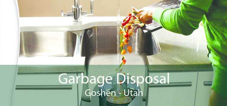Garbage Disposal Goshen - Utah