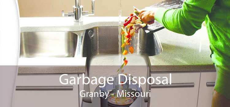 Garbage Disposal Granby - Missouri
