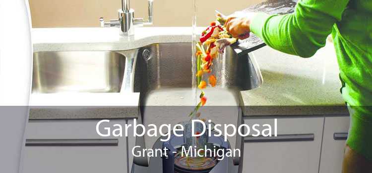 Garbage Disposal Grant - Michigan