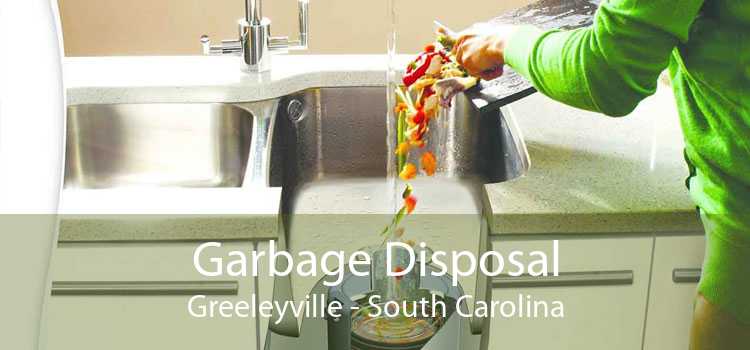 Garbage Disposal Greeleyville - South Carolina