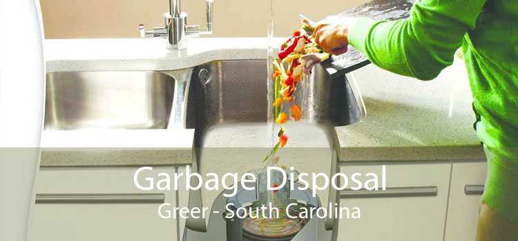 Garbage Disposal Greer - South Carolina