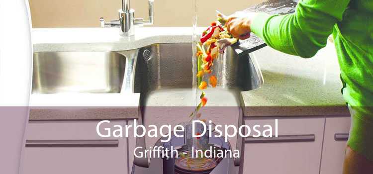 Garbage Disposal Griffith - Indiana