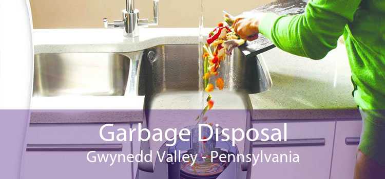 Garbage Disposal Gwynedd Valley - Pennsylvania
