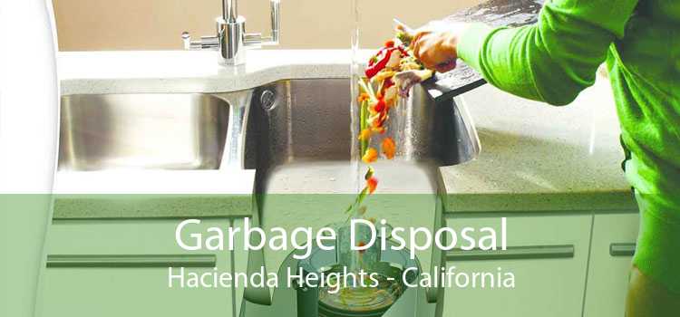Garbage Disposal Hacienda Heights - California