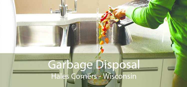 Garbage Disposal Hales Corners - Wisconsin