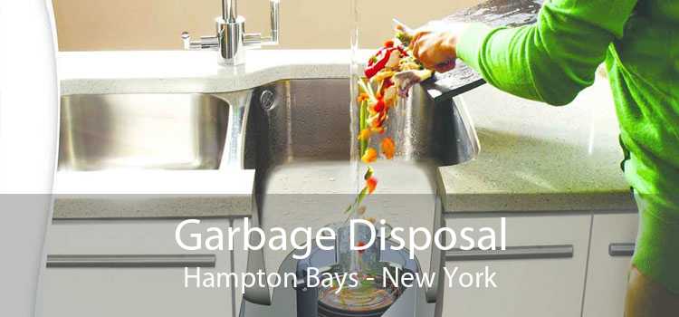 Garbage Disposal Hampton Bays - New York