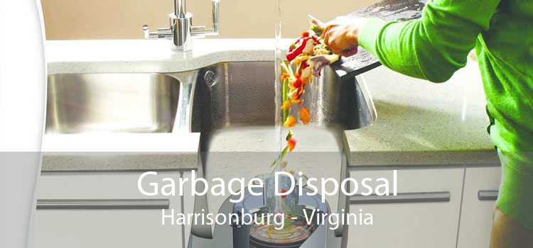 Garbage Disposal Harrisonburg - Virginia