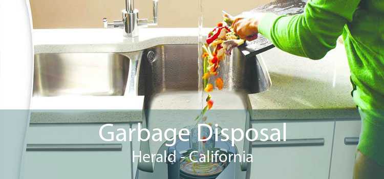Garbage Disposal Herald - California