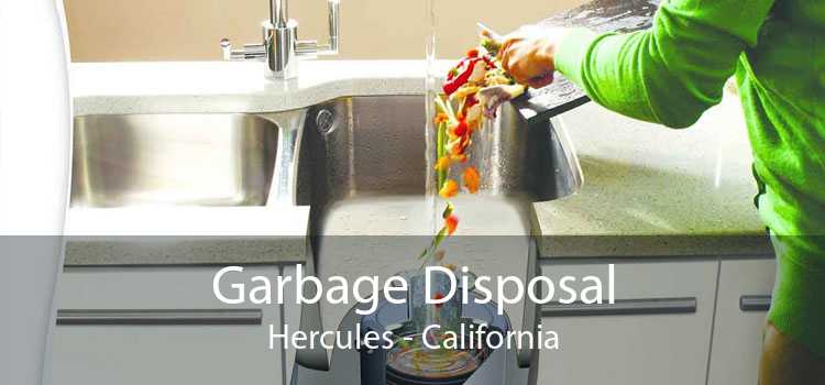 Garbage Disposal Hercules - California