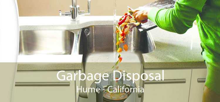 Garbage Disposal Hume - California