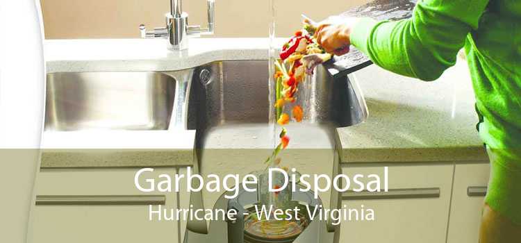 Garbage Disposal Hurricane - West Virginia