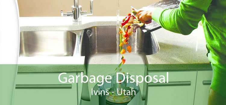 Garbage Disposal Ivins - Utah