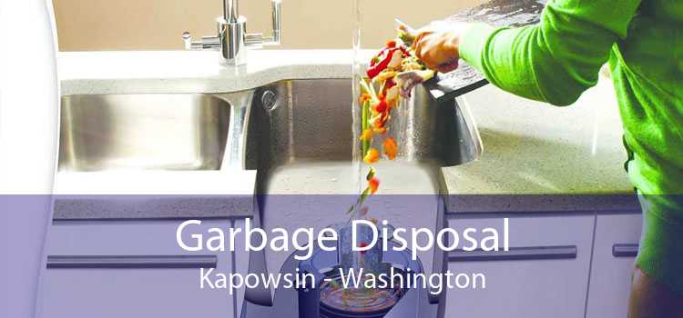 Garbage Disposal Kapowsin - Washington