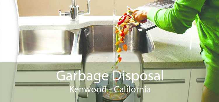 Garbage Disposal Kenwood - California