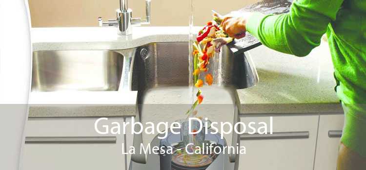 Garbage Disposal La Mesa - California