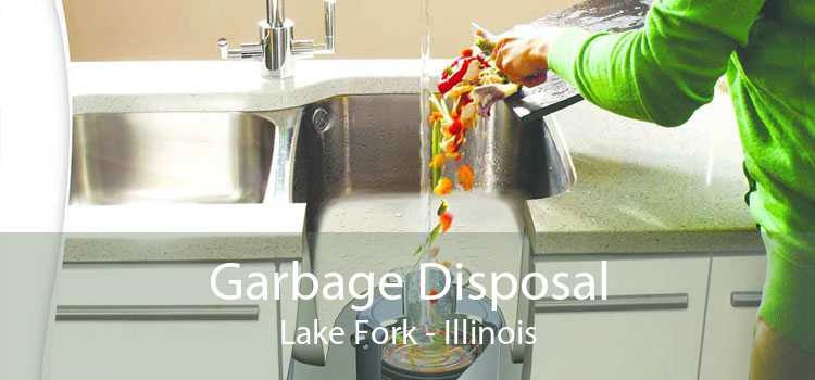 Garbage Disposal Lake Fork - Illinois