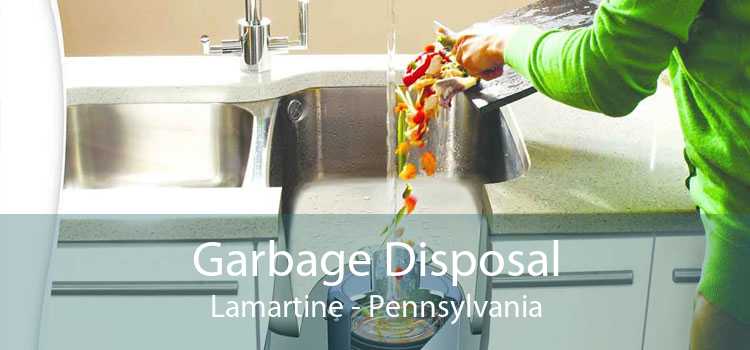 Garbage Disposal Lamartine - Pennsylvania
