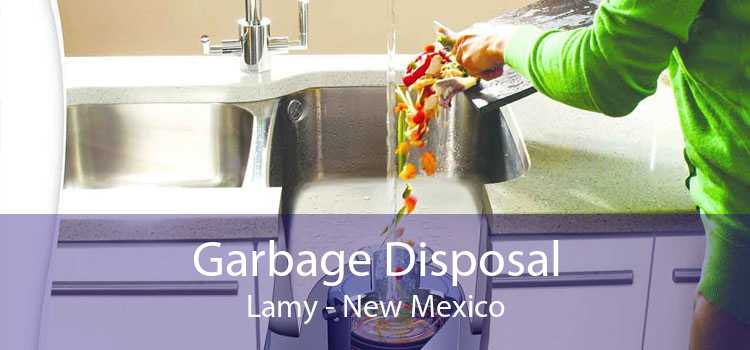 Garbage Disposal Lamy - New Mexico