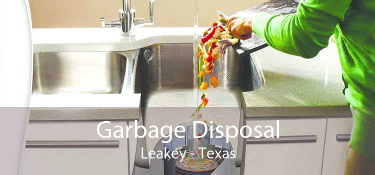 Garbage Disposal Leakey - Texas