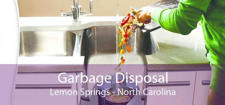 Garbage Disposal Lemon Springs - North Carolina