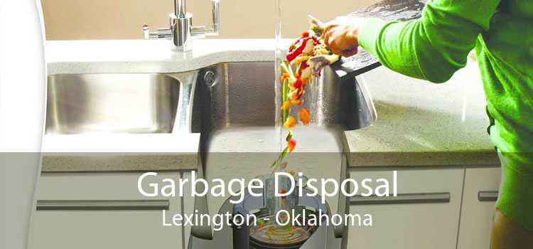Garbage Disposal Lexington - Oklahoma