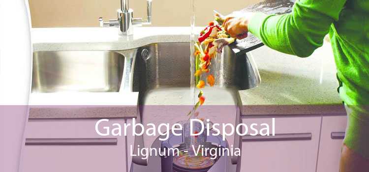 Garbage Disposal Lignum - Virginia