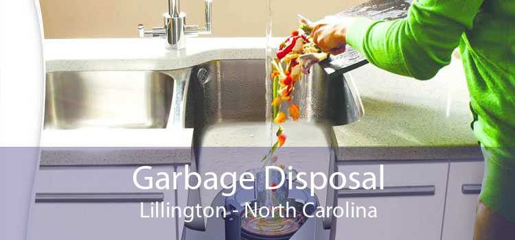 Garbage Disposal Lillington - North Carolina