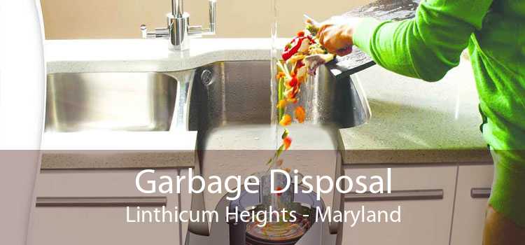 Garbage Disposal Linthicum Heights - Maryland