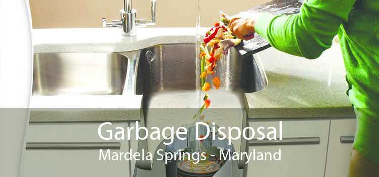 Garbage Disposal Mardela Springs - Maryland