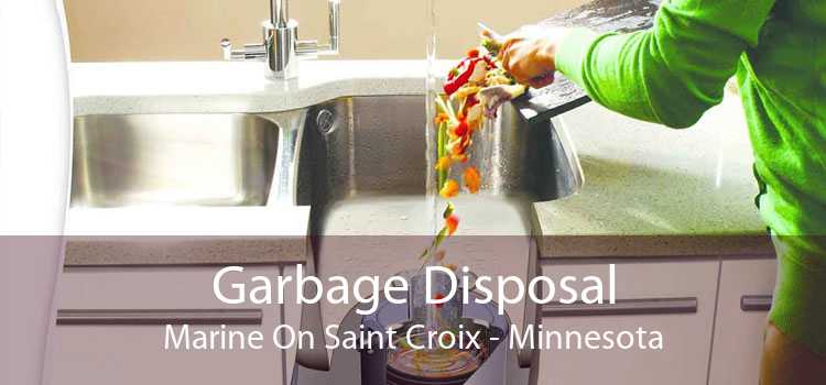 Garbage Disposal Marine On Saint Croix - Minnesota