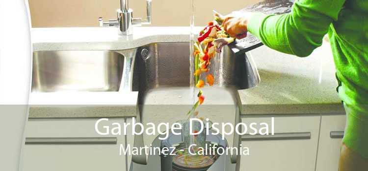 Garbage Disposal Martinez - California