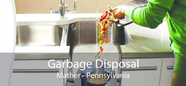Garbage Disposal Mather - Pennsylvania