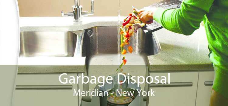 Garbage Disposal Meridian - New York