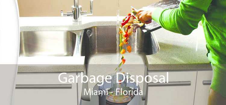 Garbage Disposal Miami - Florida