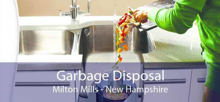 Garbage Disposal Milton Mills - New Hampshire