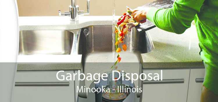 Garbage Disposal Minooka - Illinois