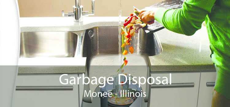 Garbage Disposal Monee - Illinois